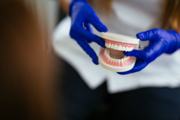 Best Preventive Dentistry  in Coker, AL
